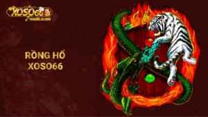 Rồng hổ